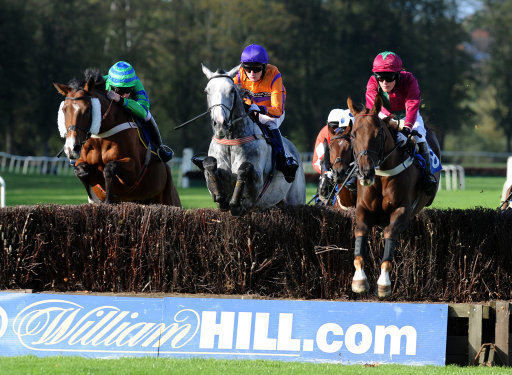 Horse racing best bets. Worcester are racing over the sticks on Friday evening.