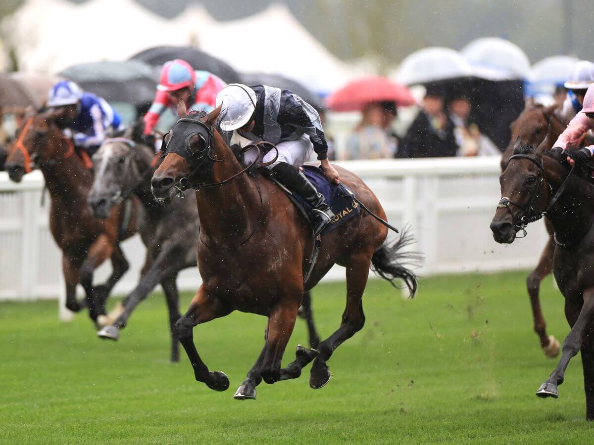 Circus Maximus at Ascot.