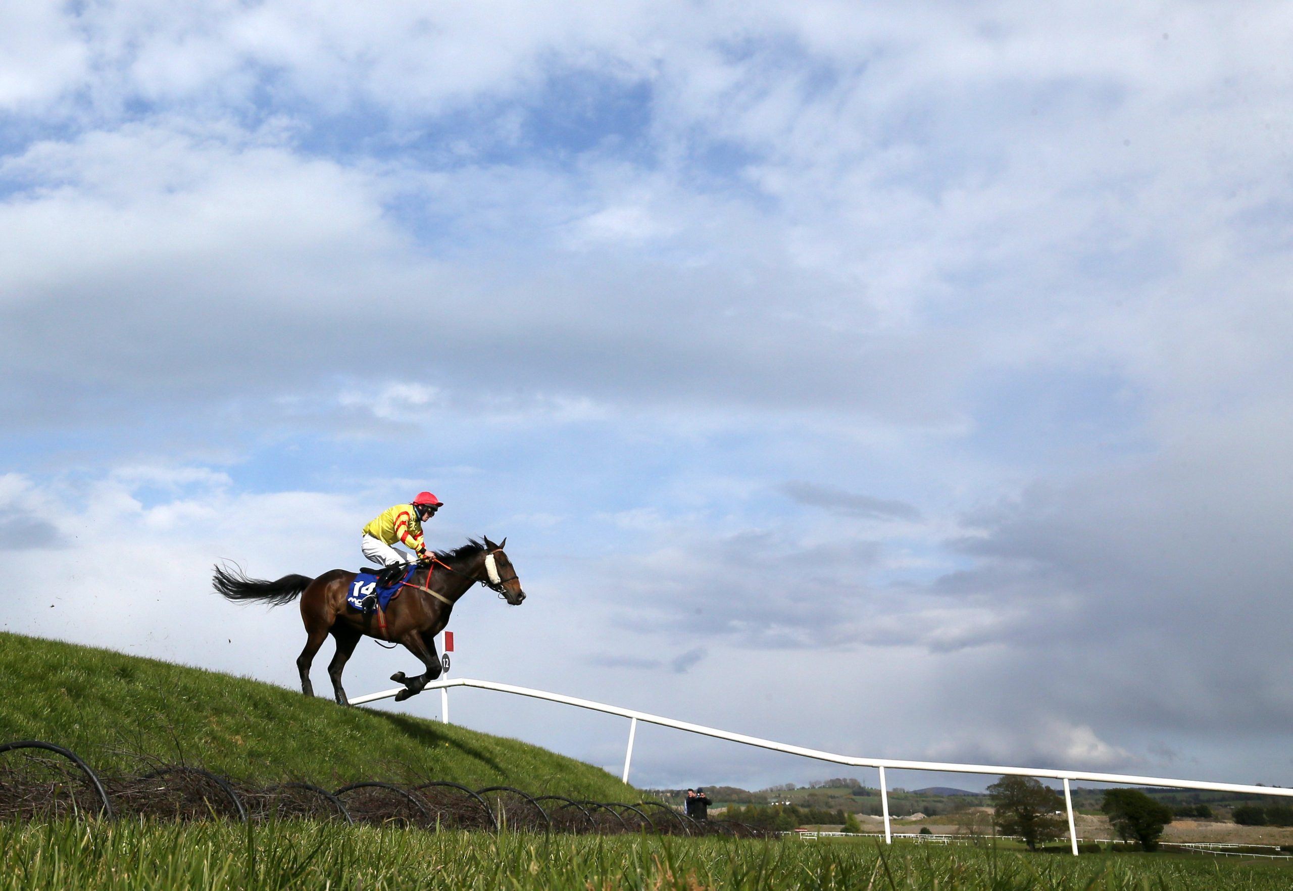 Singing Banjo jumps the banks at Punchestown