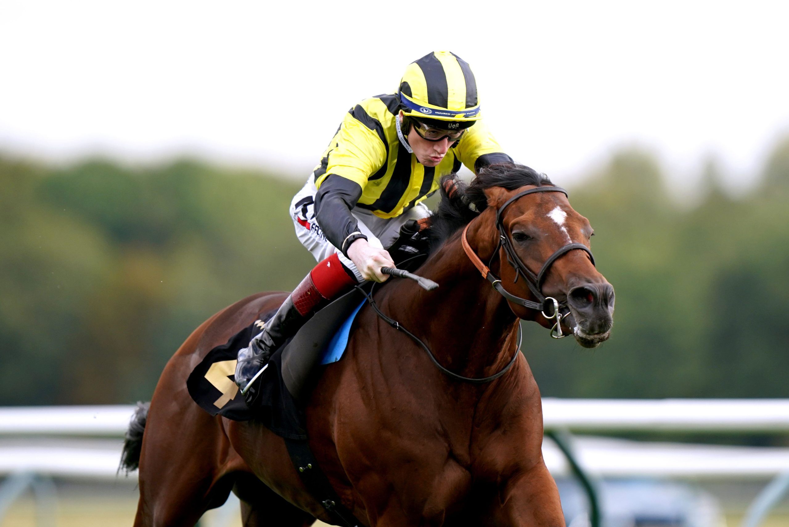Eldar Eldarov ridden by David Egan wins the British Stallion Studs EBF Maiden Stakes (Div 2) at Nottingham Racecourse. Picture date: Wednesday October 13, 2021.