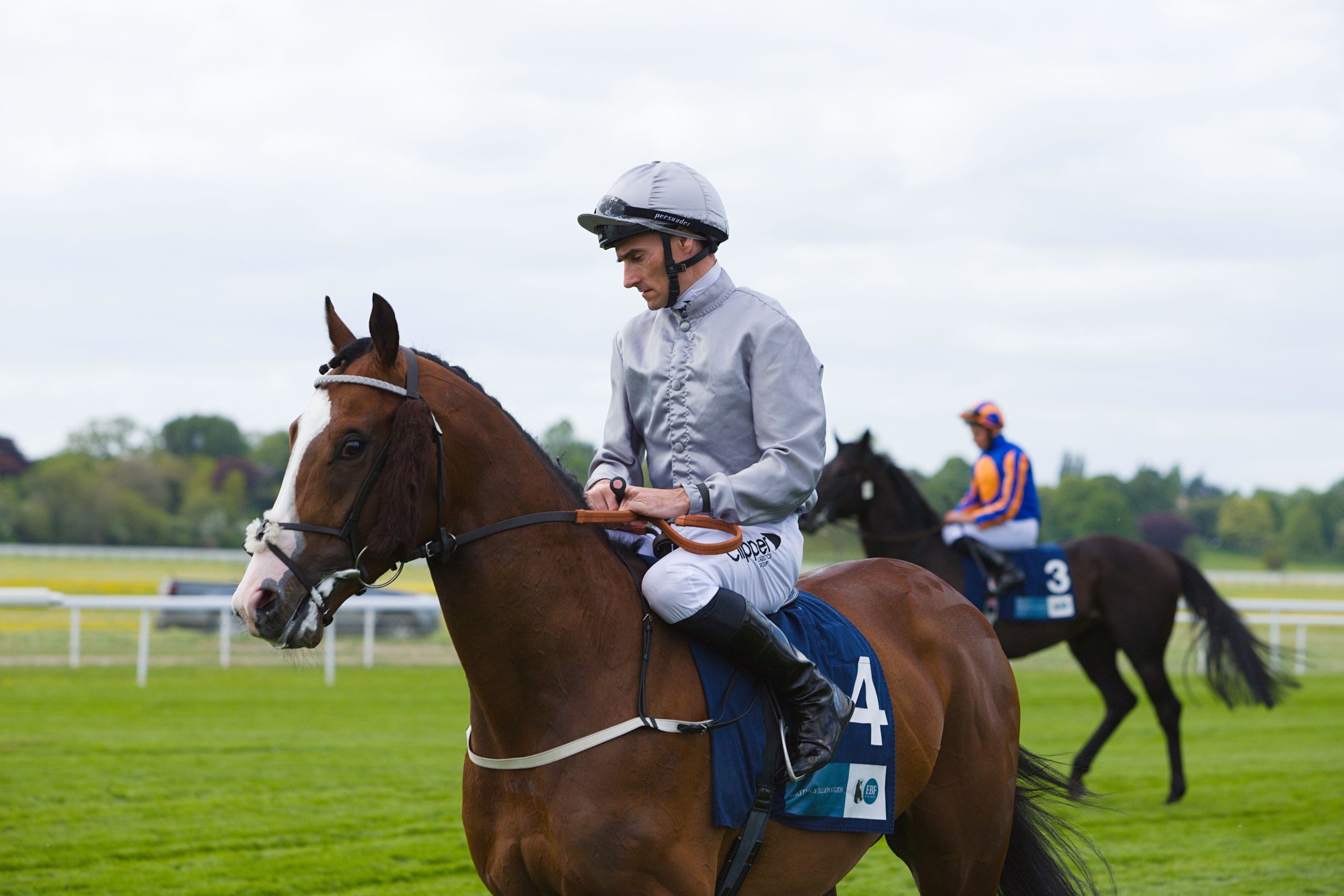 Irish Horse Racing Tips. Danny Tudhope travels over to the Curragh on Saturday for the ride aboard Last Crusader.