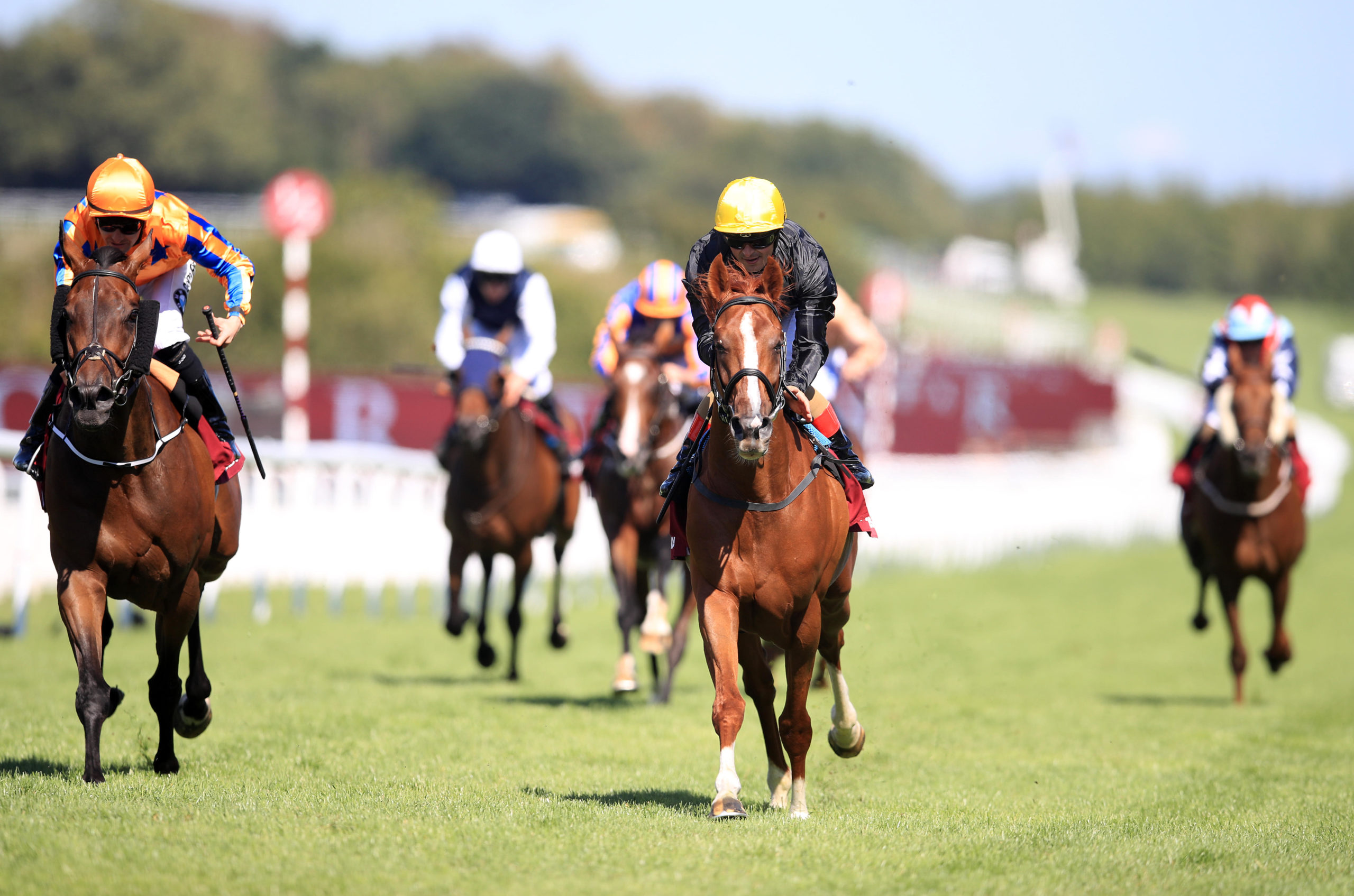 Stradivarius 2018 Goodwood Cup