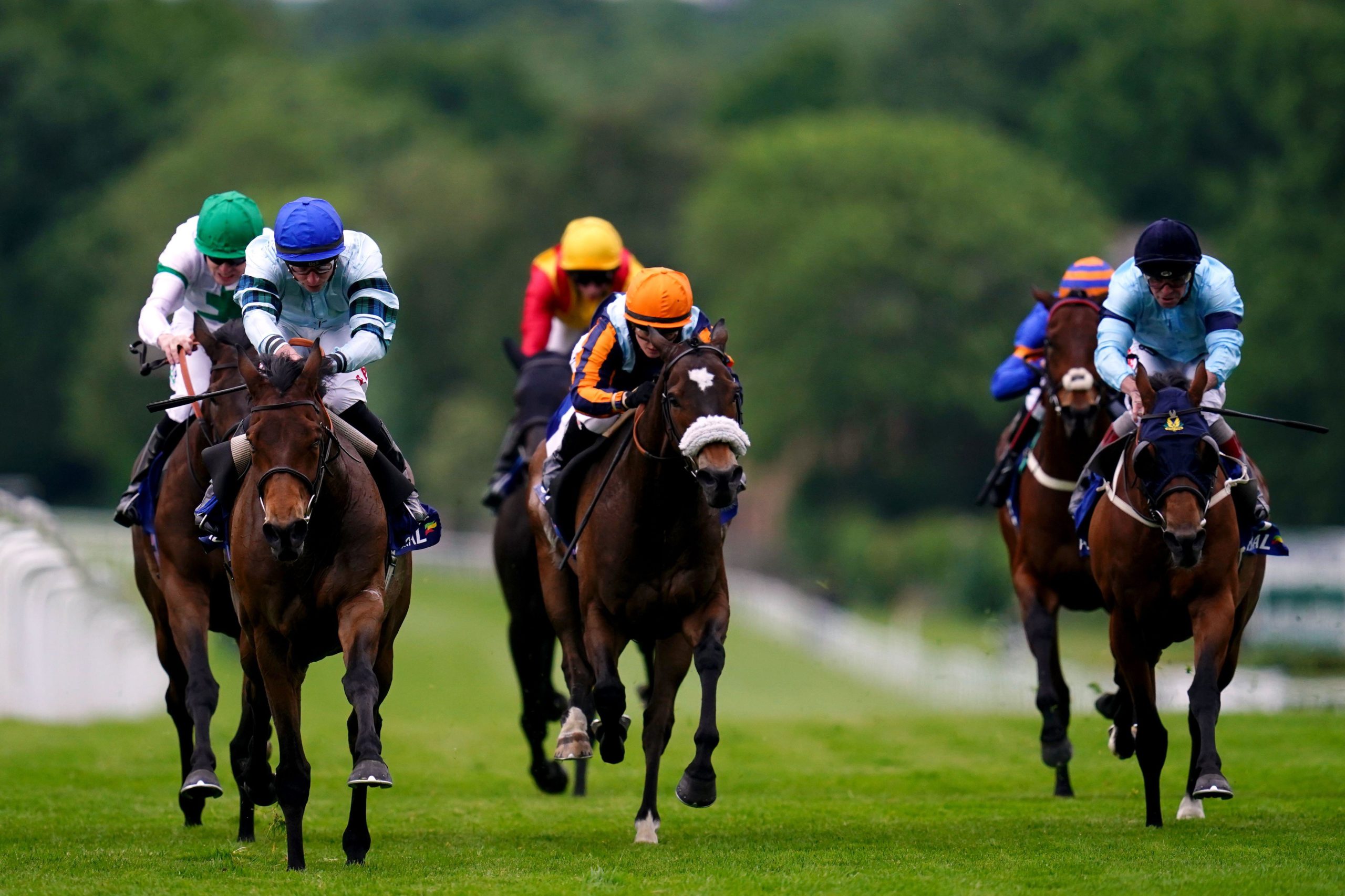 Quickthorn heads to France for the Group 2 Prix Maurice de Nieuil on Thursday.