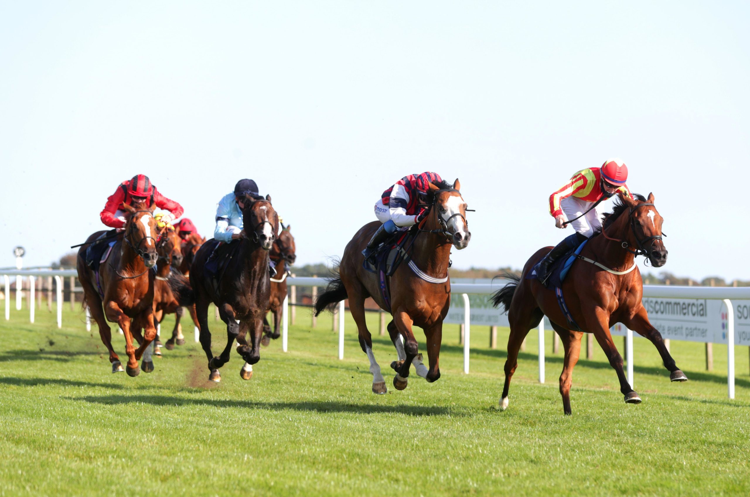 Monday Lucky 15 Tips. Singing The Blues (right) can get back to winning ways at Wolverhampton on Monday.
